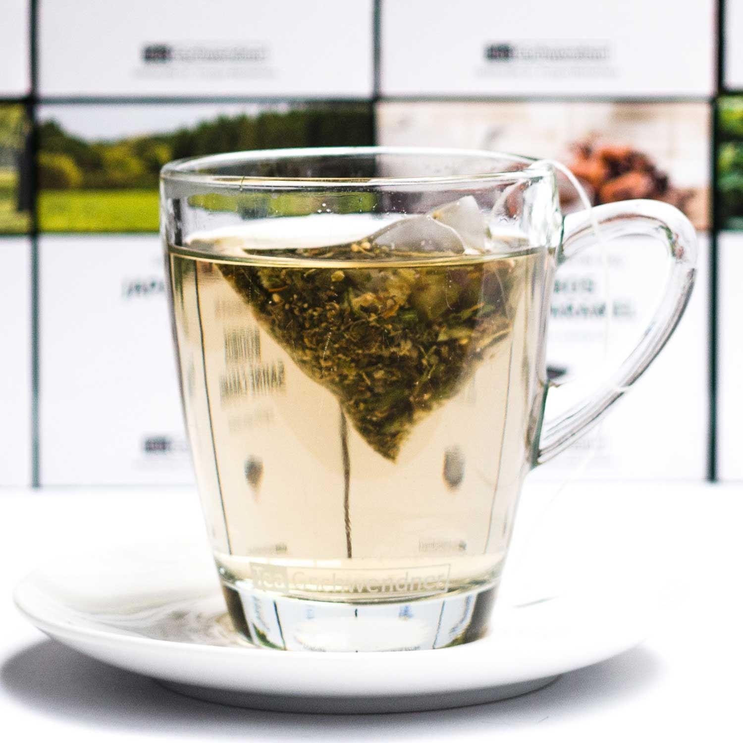 Heißer Kräutertee im Glas mit Pyramidenbeutel, Teeseltee, Klarer Tee, Teebeutel, Glasbecher, Teekanne-Infusion