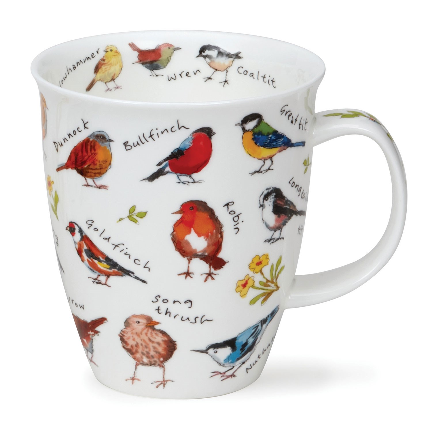 White porcelain mug featuring colourful drawings of various songbirds with their English names