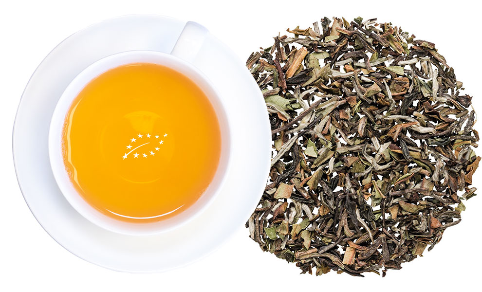 Weiße Tasse Darjeeling-Tee neben losem Blatttee