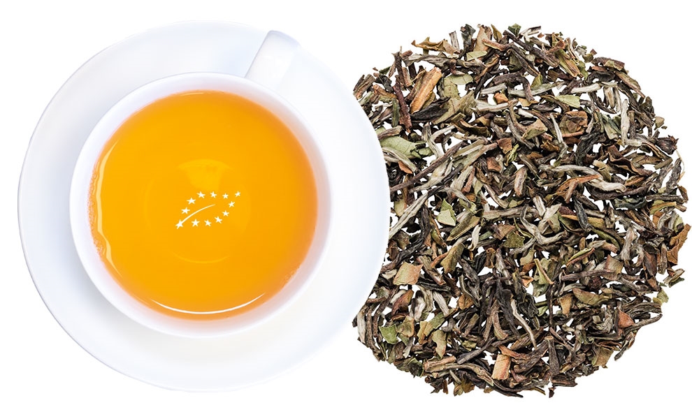 Weiße Tasse Darjeeling-Tee neben losem Blatttee, tee, tee-blatt, blatt-tea, organisch, europa-?