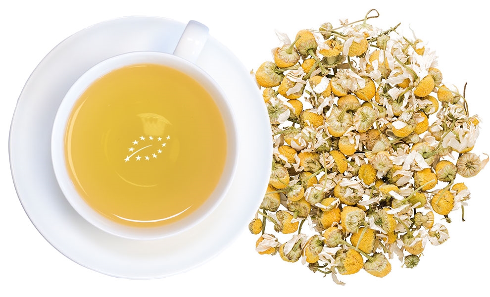 Weiße Tasse Kamillentee neben getrockneten Blüten, Kräutertee, Teekanne, Tee, Krautentee, Kräuterblüten