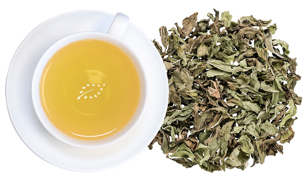 Weiße Tasse mit Pfefferminztee und getrockneten Blättern, tee, tee-aufguss, minztee, kraeutertee, kräutertee
