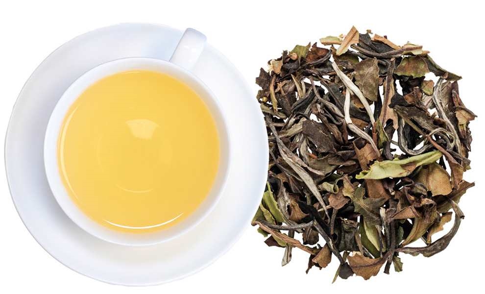 Tasse aufgebrühter weißer Tee neben losen Blättern, grüner tee, tee blätter, tee brühen, infusionsgetränk, teekanne