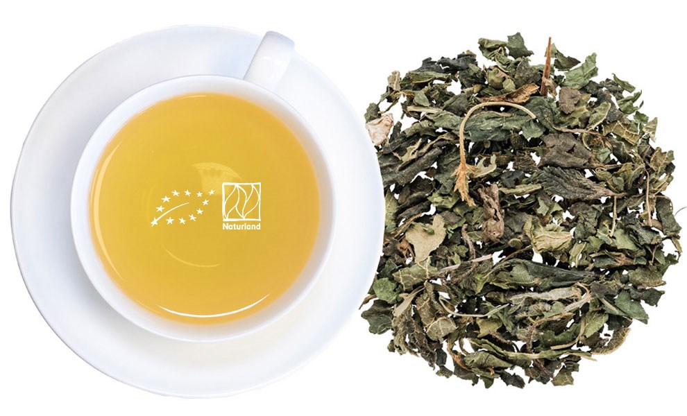 Tasse blanche de tisane dorée à côté d’herbes séchées en vrac sur fond blanc