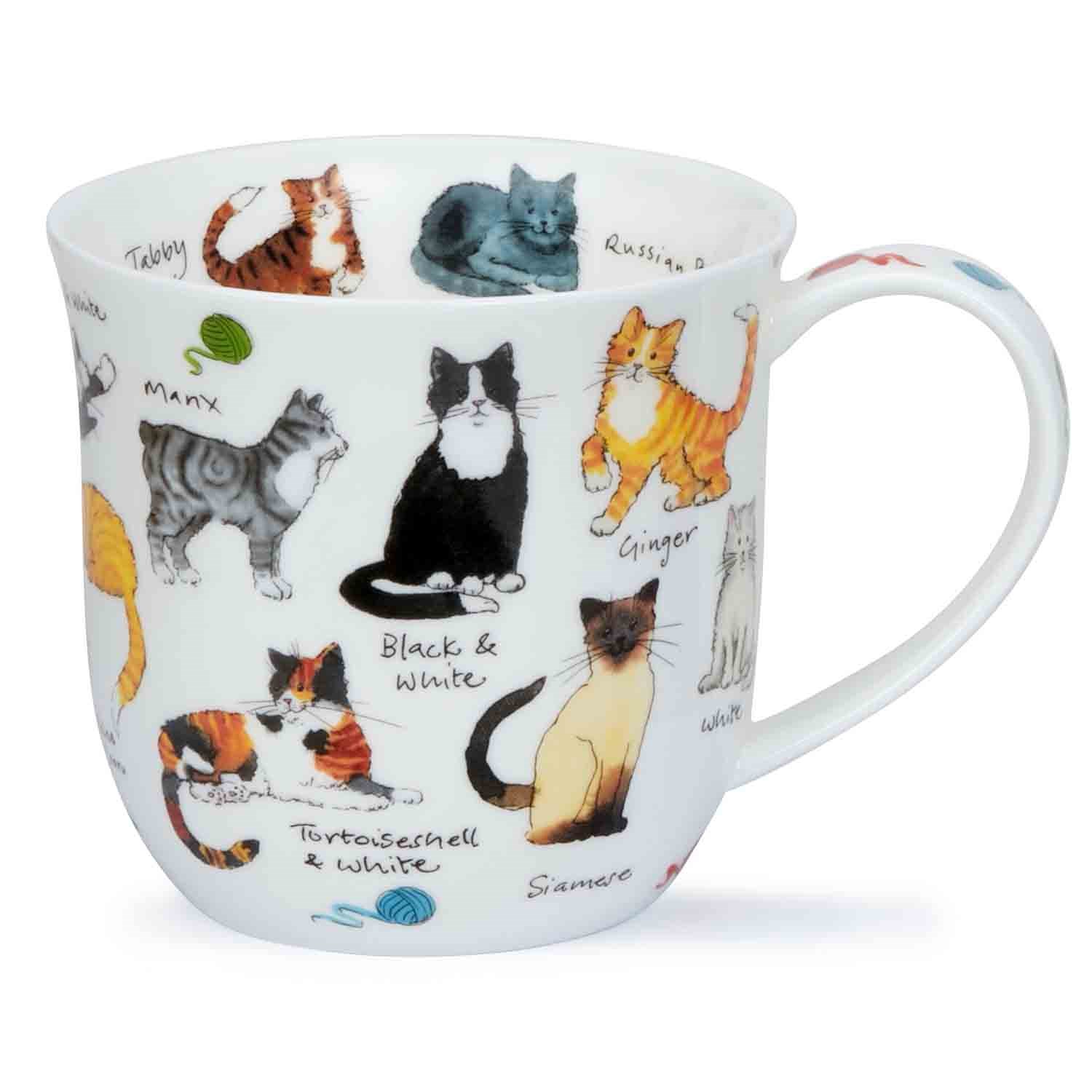 Weiße Porzellantasse mit verschiedenen Katzenmotiven, Kaffeebecher, Katzenmuster, Porzellan, Becher, Tiermuster