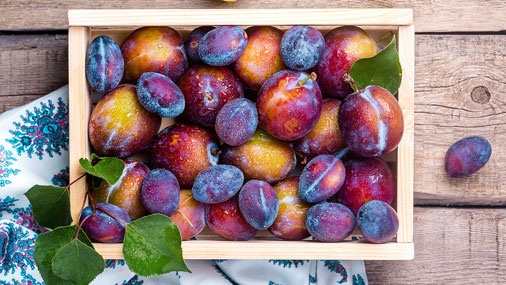 plum tea plum tea