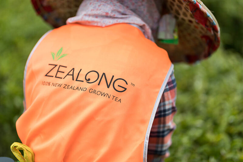 orange-vest, zealong, tee?, garten?, sonnenschutz?