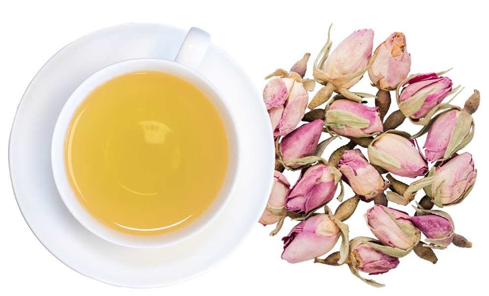 Weiße Tasse Rosentee neben Rosenknospen, tee, tasse, jasminder, rosenknospen, blütentee