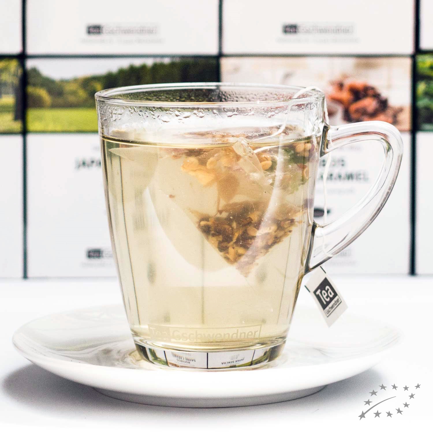 Transparente Teetasse mit Teebeutel und Unterteller, tee, tee-glas, glass-tea, tee-infusion, früchtetee