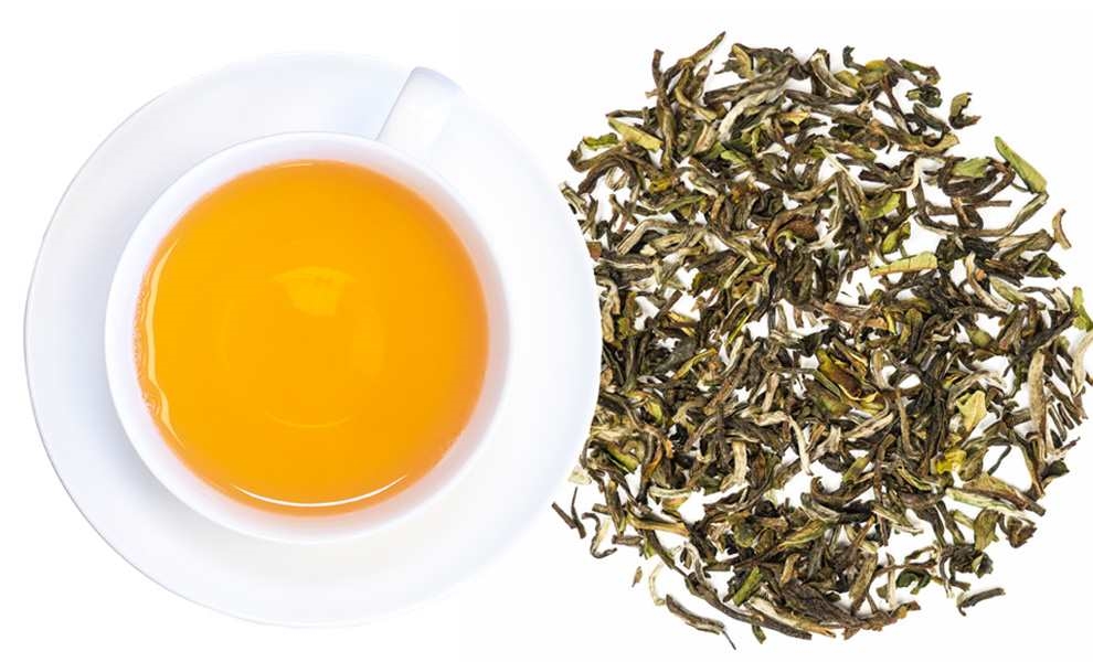 Weiße Tasse mit goldenem Grüntee auf Untertasse, daneben lose grüne Teeblätter auf weißem Hintergrund