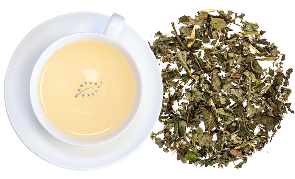 Weiße Teetasse mit hellem Kräutertee und trockenen Blättern, tea, teetasse, Kräutertee, grüner tee, aufguss