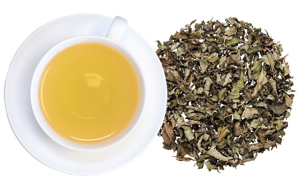 Tasse aufgebrühter Tee neben losem Blatttee, tee, grüner tee, tee blätter, tasse, aufguss