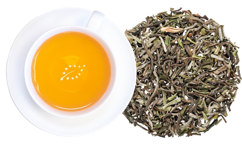 Tasse aufgebrühter Tee mit losem Blatttee daneben, tee, grüner tee, lose-blatt-tee, kräutertee, rohes tee
