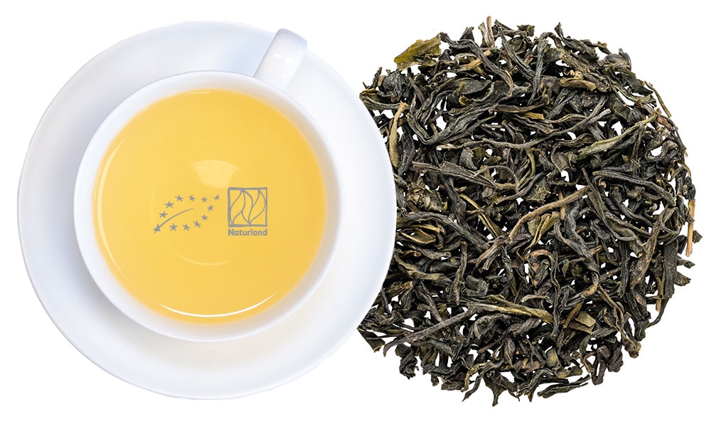 Weiße Tasse mit aufgebrühtem grünem Tee und Blatttee, tee, grüner tee, loser tee, tee becher, brauen