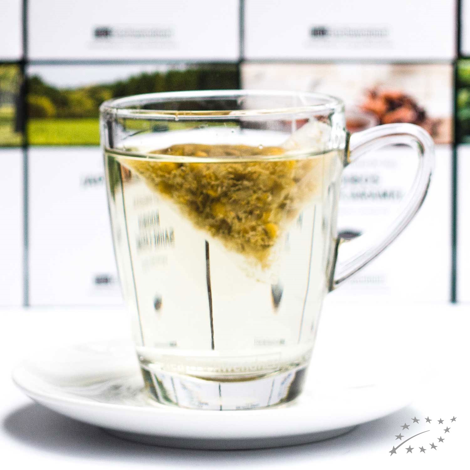 Heißer Tee in Glastasse mit Pyramiden-Teebeutel, Teetasse, Glas, Klarer Tee, Teebeutel, Behandlungstee