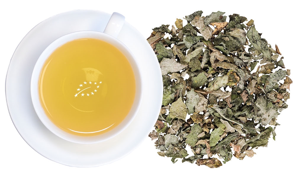 Weiße Tasse Kräutertee neben losen Teeblättern, tee, tee-aufguss, kräutertee, heißgetränk, blattwerk
