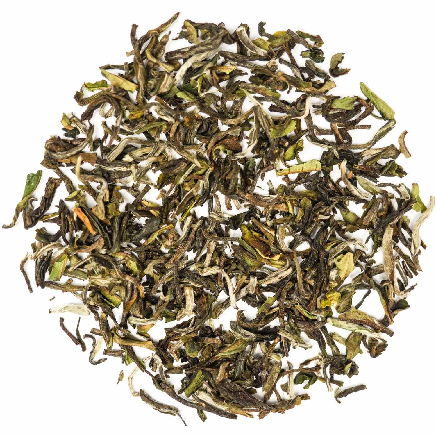 Detailaufnahme von losem grünen Blatttee mit ganzen, schonend getrockneten Teeblättern