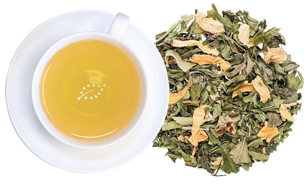 Weiße Tasse mit aufgebrühtem Kräutertee und losem Tee, tee, tee-blätter, grüner-tee, lose-blätter, bio-tee