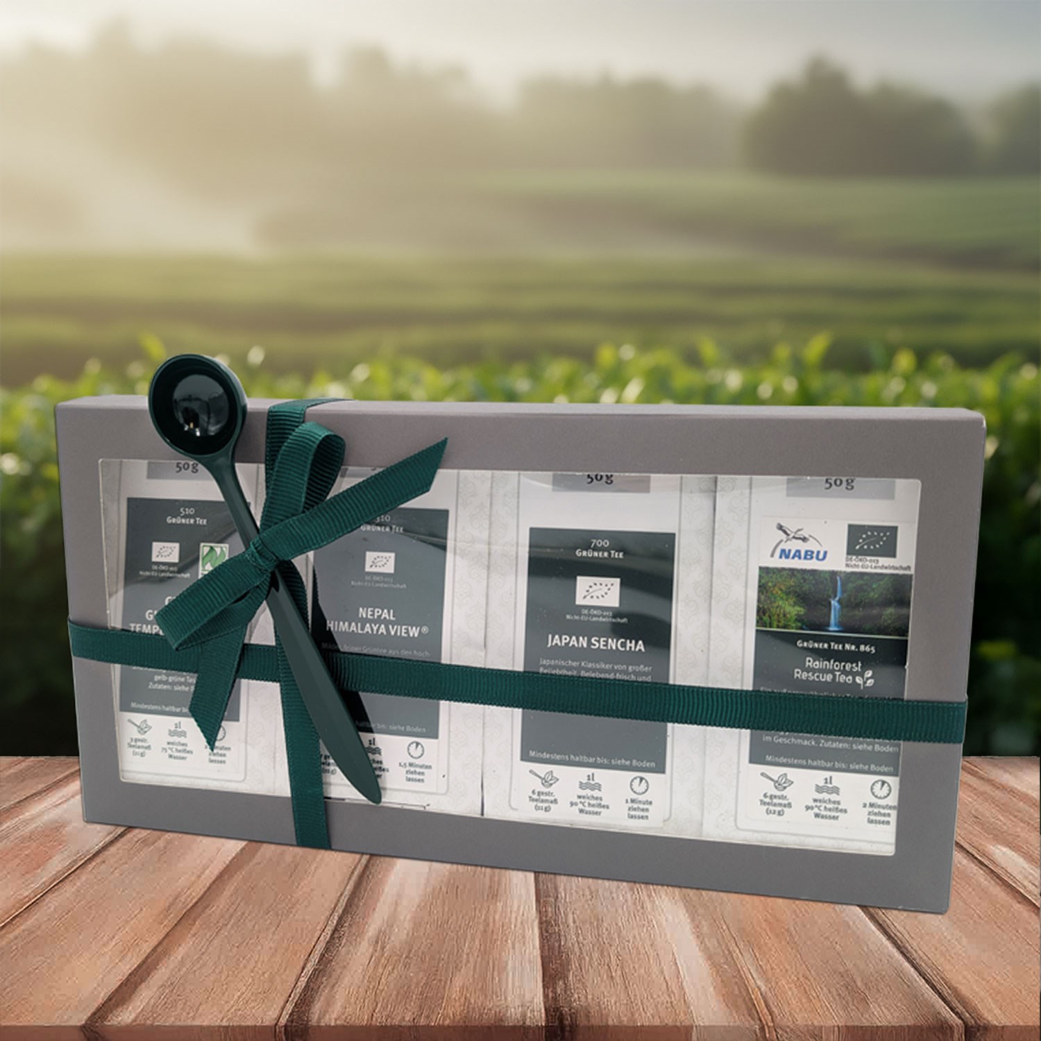Geschenkbox Grüntee-Einsteigerset Bio von TeeGschwendner mit vier grünen Tees à 50 g und Messlöffel vor Teefeld, ideal zum Kennenlernen verschiedener asiatischer Grüntees, Tea-Set, Geschenkbox, Tee-Sampler, grünes Band, Präsentationsbox