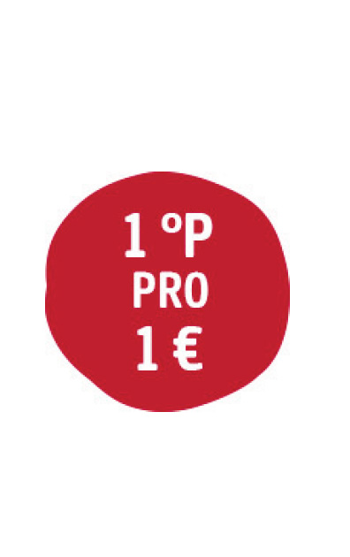 PAYBACKPunktproEuro