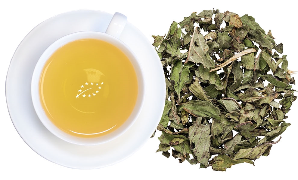 Weiße Teetasse mit aufgebrühtem Tee und Teeblättern, tee, grüner tee, kräutertee, tee blätter, tasse