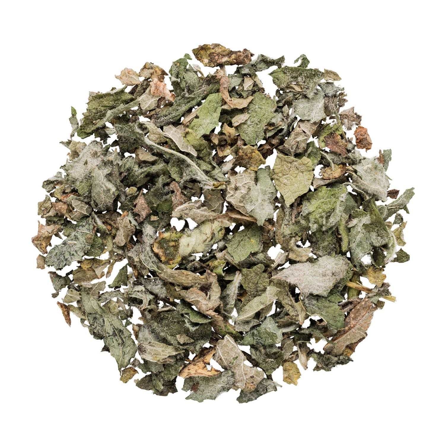 Kreis aus getrockneten Brombeerblättern auf Weiß, kraeuter, getrocknete-blatt, pflanzenreste, gruen-braun, zubereitungszutat