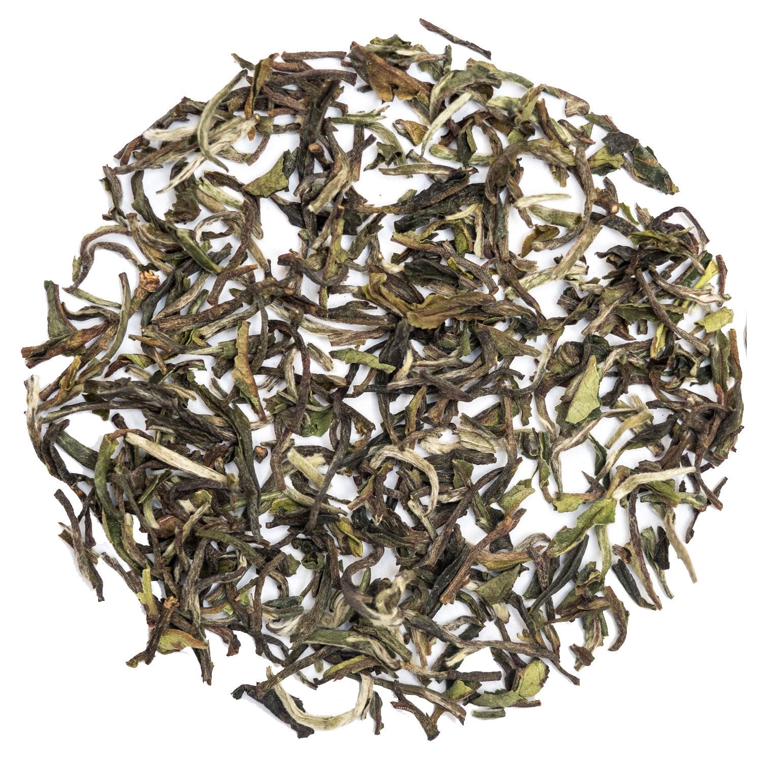 Nahaufnahme von losem Tee auf weißem Hintergrund, Tee, Grüner Tee, lose leaf, Blätter, Sorten