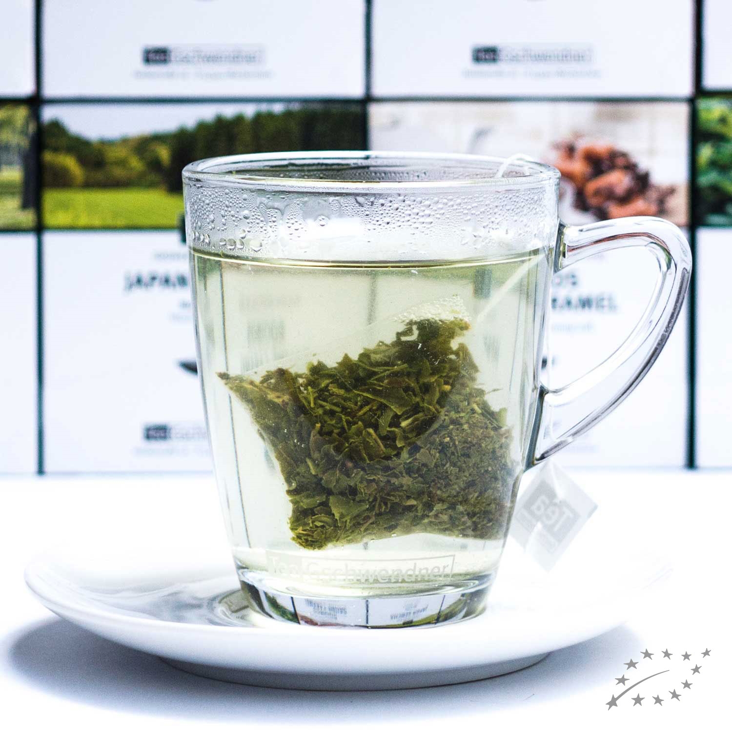 Frisch aufgebrühter grüner Tee im Glas mit Teebeutel, tee, Teebeutel, Grüner Tee, Glasbecher, Kräutertee