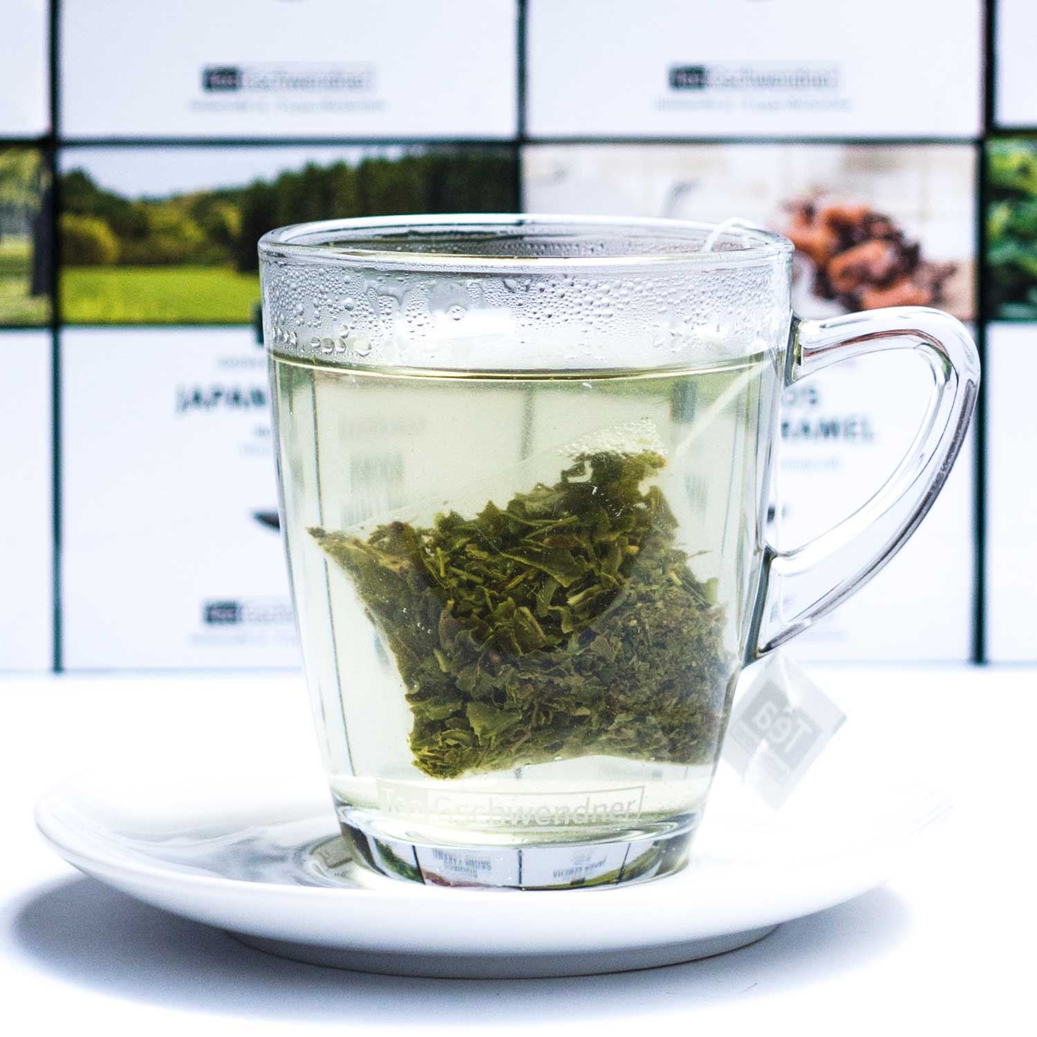 Japon Sencha (MasterBag Pyramid)