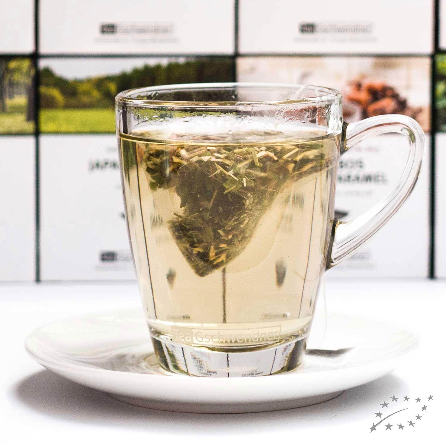 Transparente Tasse mit heißem Kräutertee und Teebeutel, Teetee, Klartee, Teetasse, Kräutertee, Teemischung