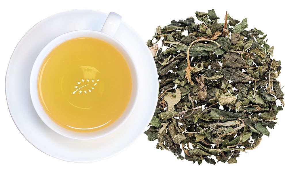 Weiße Tasse mit aufgebrühtem Kräutertee und losem Tee, Tee, Kräutertee, Blätter, Kräutertee-Mischung, Blätter-Tee