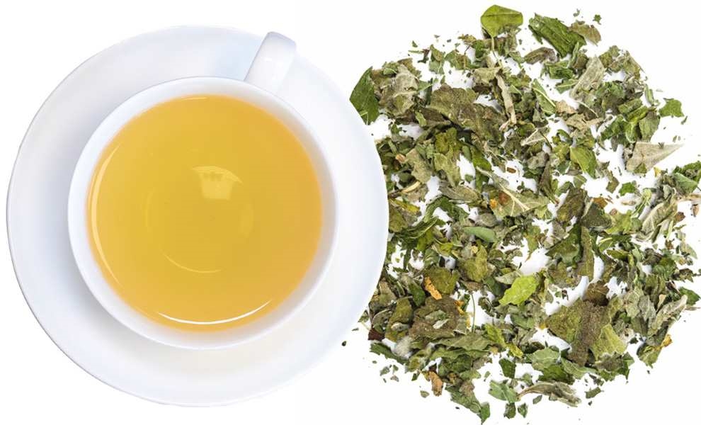 Weiße Teetasse mit hellem Kräutertee und Blatttee, tee, Kräutertee, Grüner Tee,  lose Tee, Aufguss