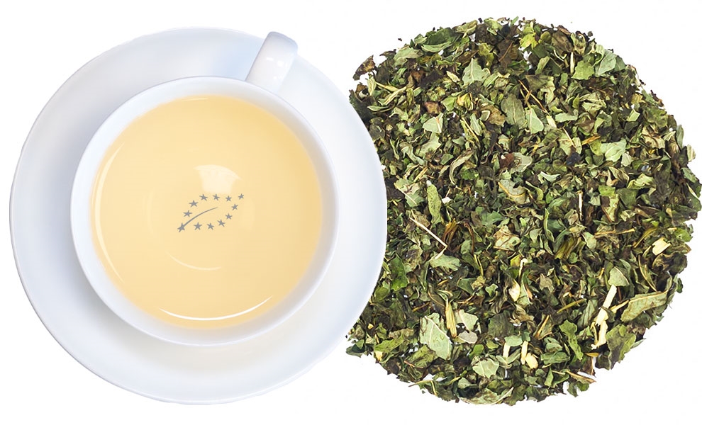 Weiße Tasse mit aufgebrühtem Pfefferminztee, Kaffee, Tee, Teeblätter, Kanne, Beuteltee