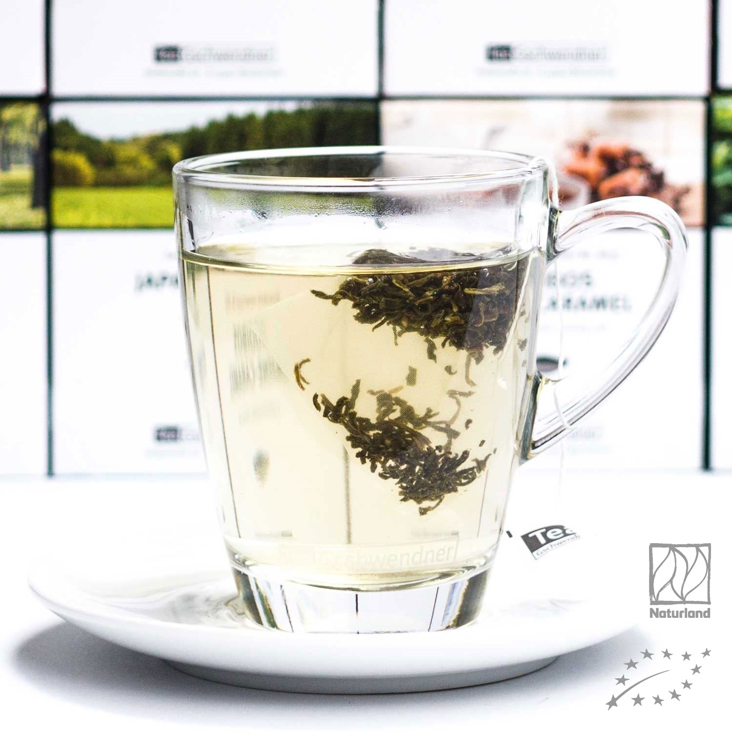 Transparente Teetasse mit hellem grünem Tee und Blatttee, Teew Chamomile, Kräutertee, Glasbecher, lose Blätter, Kleine Blüten