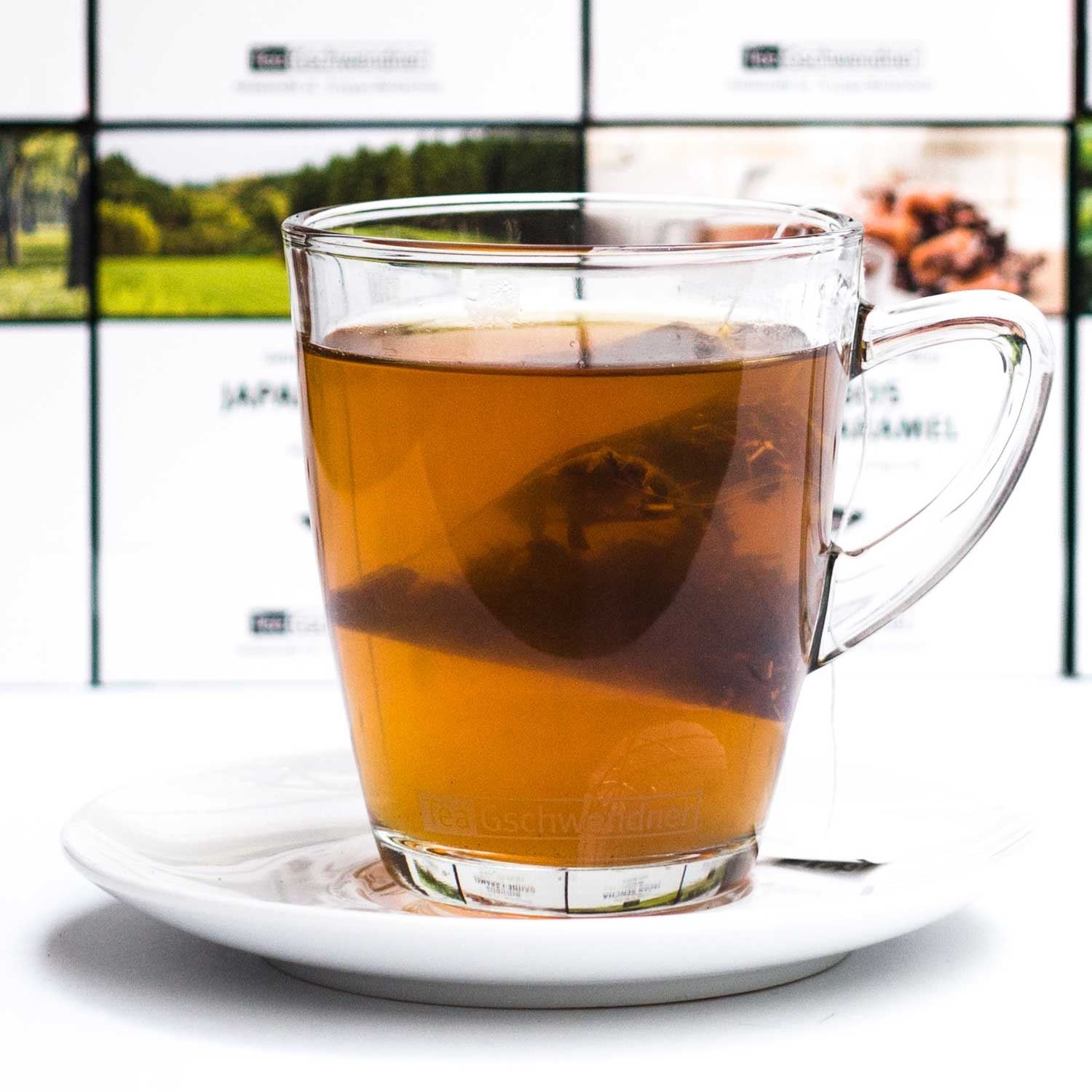 Transparente Teeglas-Tasse mit heißem Tee und Beutel, Teetasse, Tea, Glas, Tee-Aufguss?, Transparent