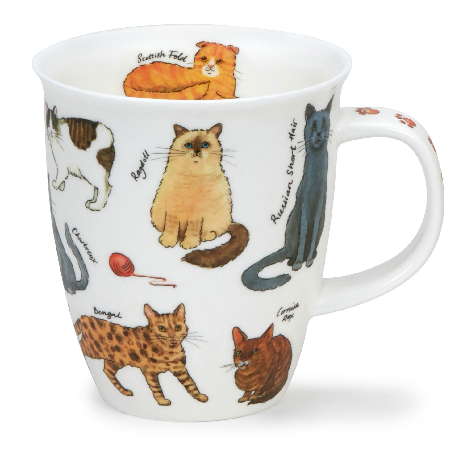 White porcelain mug featuring illustrated cats of various breeds with their breed names
