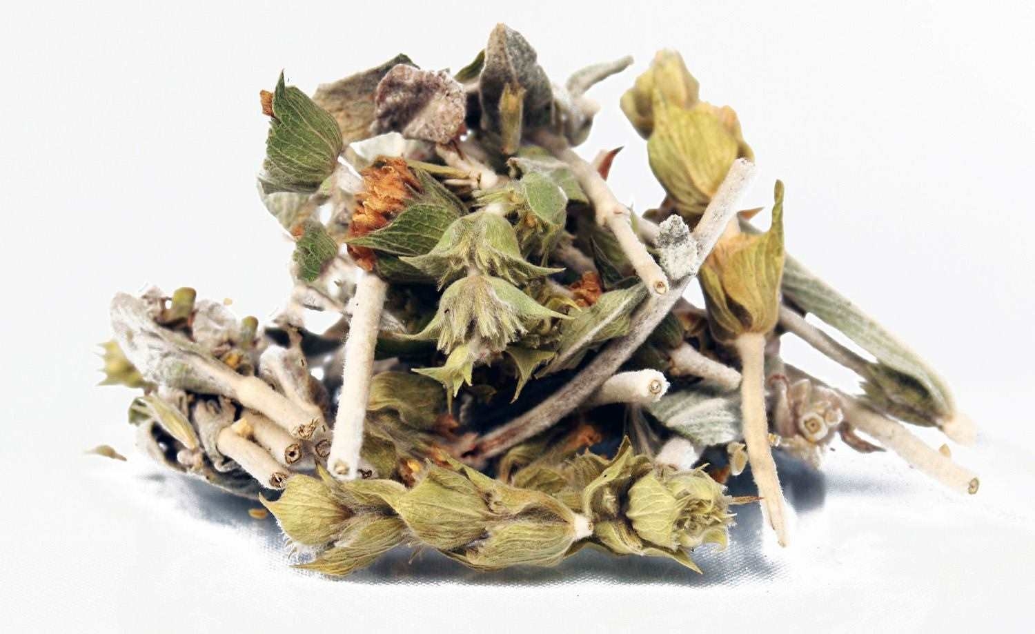 Haufen getrockneter griechischer Bergtee-Stängel, kraut, staubig, blüten, trockene blätter, zweige