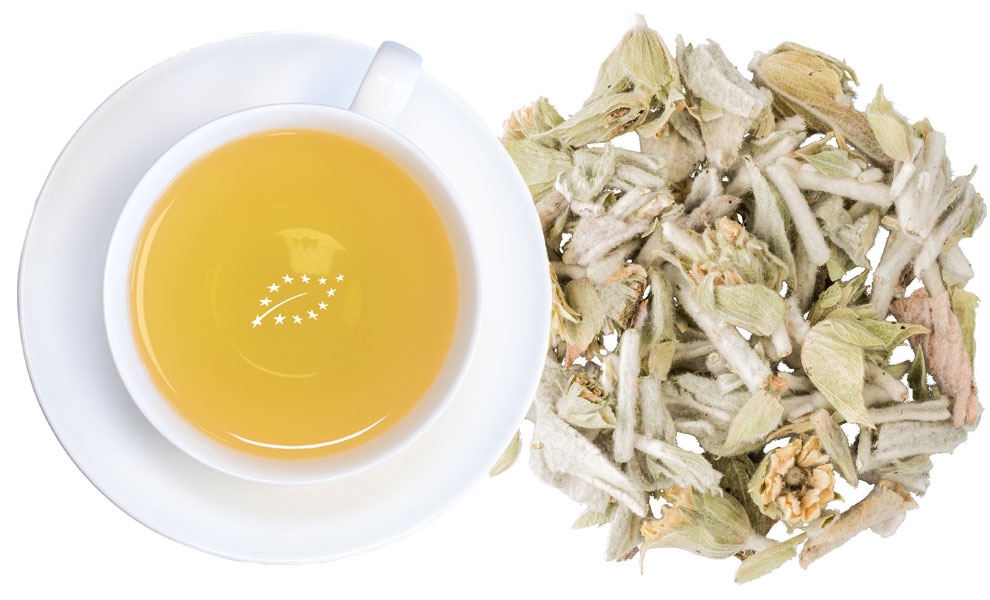 Weiße Tasse Kräutertee neben losen Blättern, tee, tee tasse, kraeutertee, lose bladtee, tee blatt
