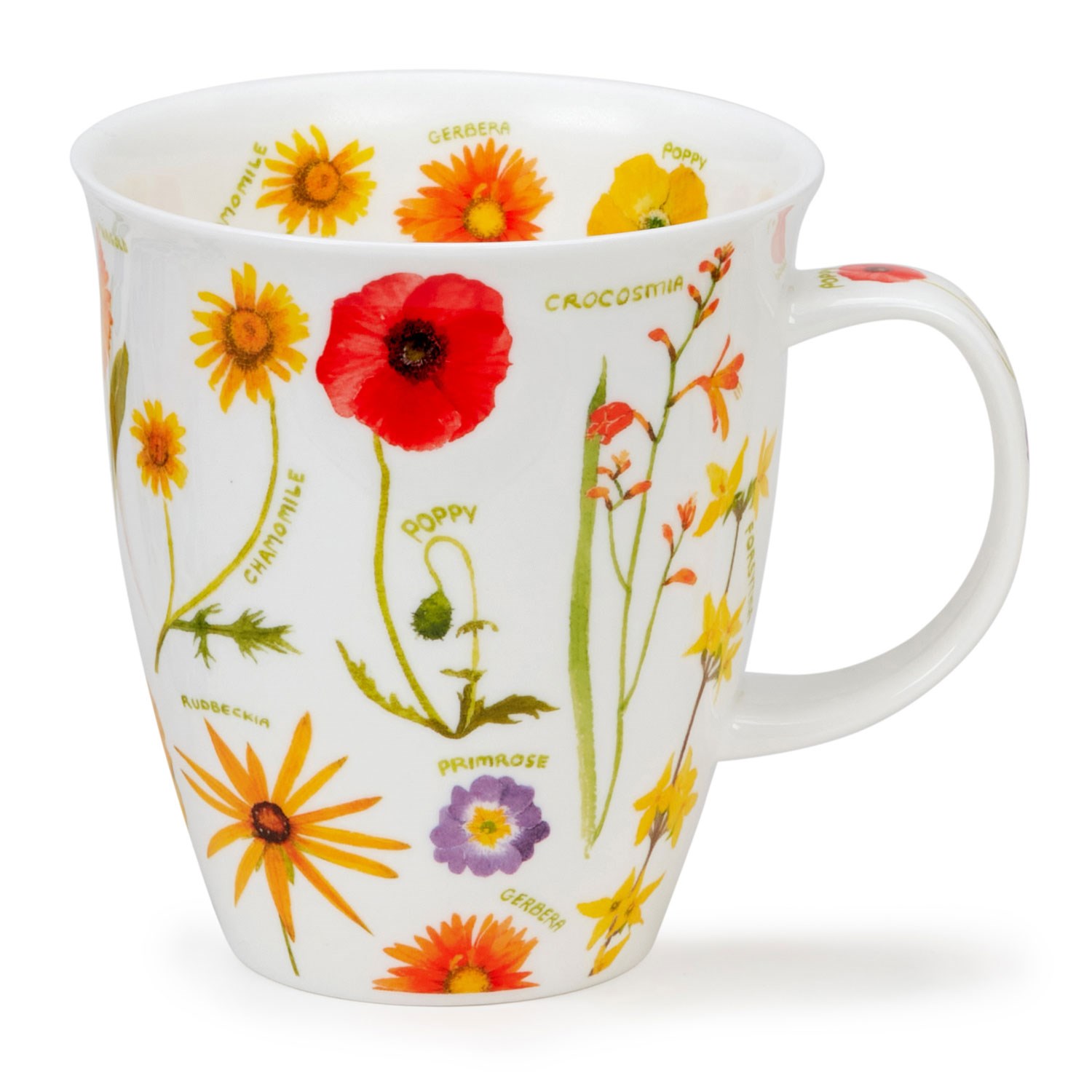 Dunoon mug Nevis Flower Journal red, large fine bone china mug with red and orange botanical flower illustrations and comfortable handle